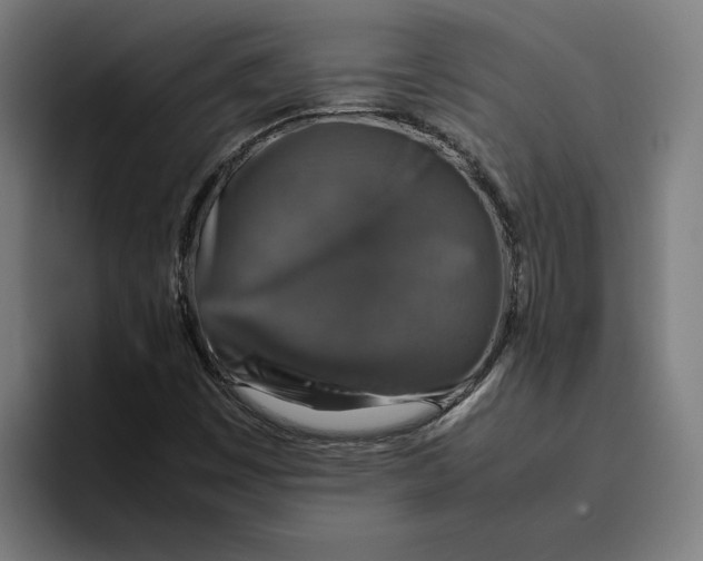 X0000094821449200712071236