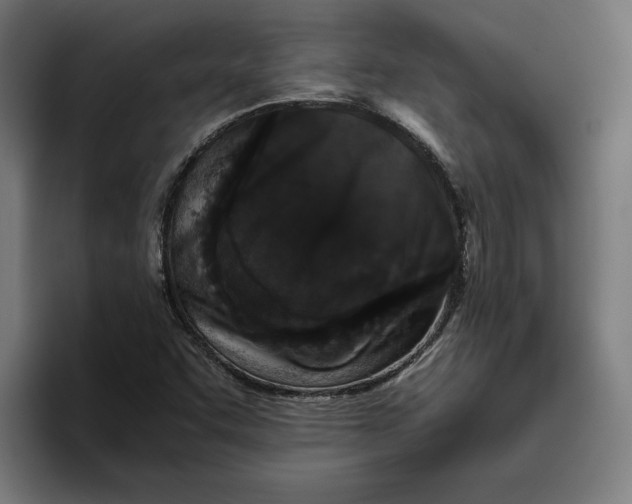 X0000094821455200712071236