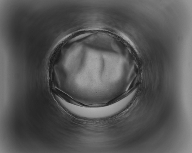 X0000094821456200712071236