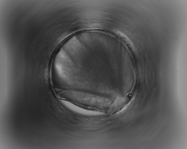 X0000094821457200712071236