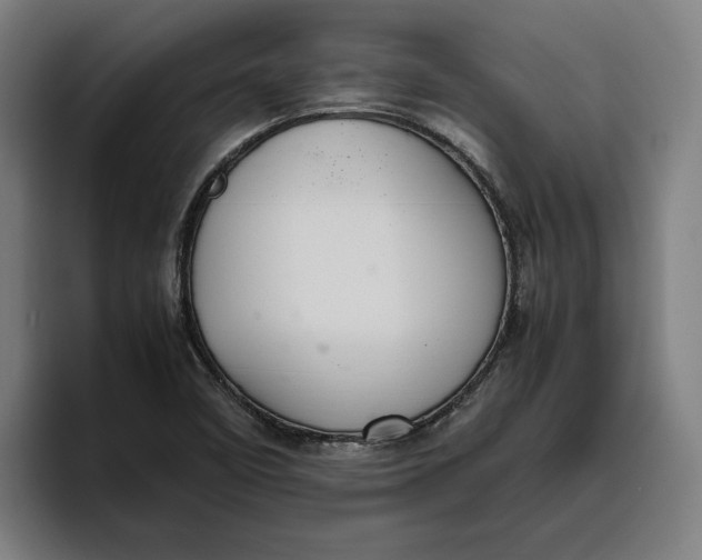 X0000094821458200712071236