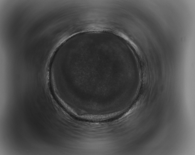 X0000094821459200712071236