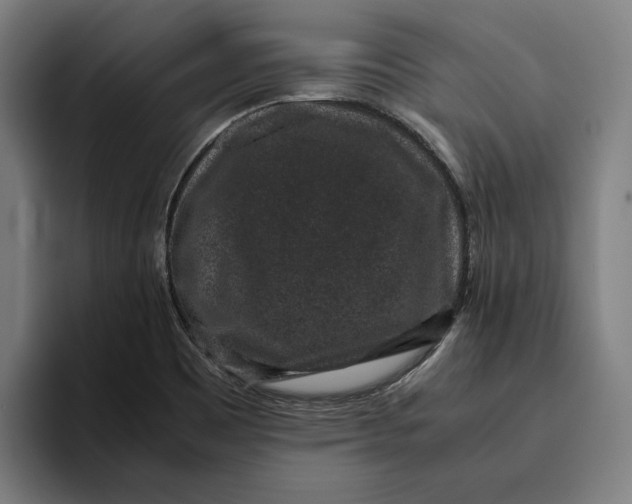 X0000094821465200712071236