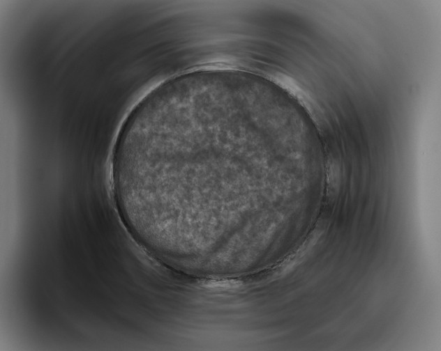 X0000094821466200712071236