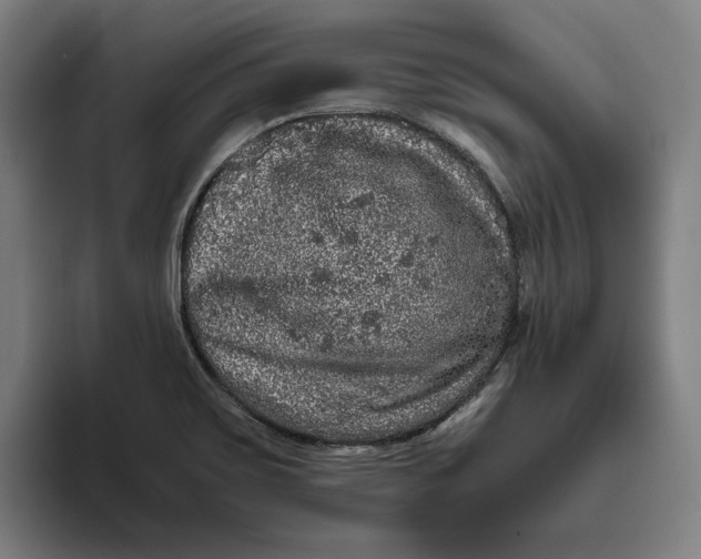 X0000094821467200712071236