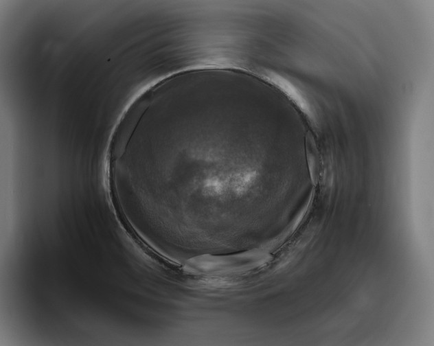 X0000094821468200712071236