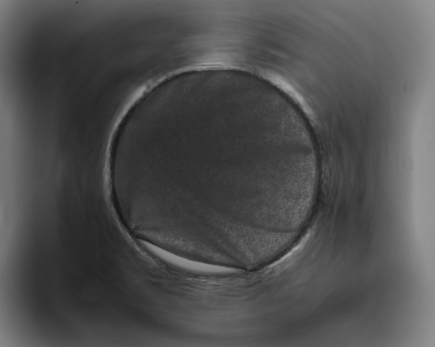 X0000094821469200712071236