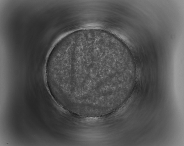 X0000094821470200712071236