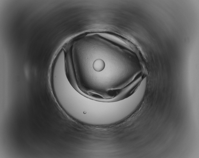 X0000094821472200712071236