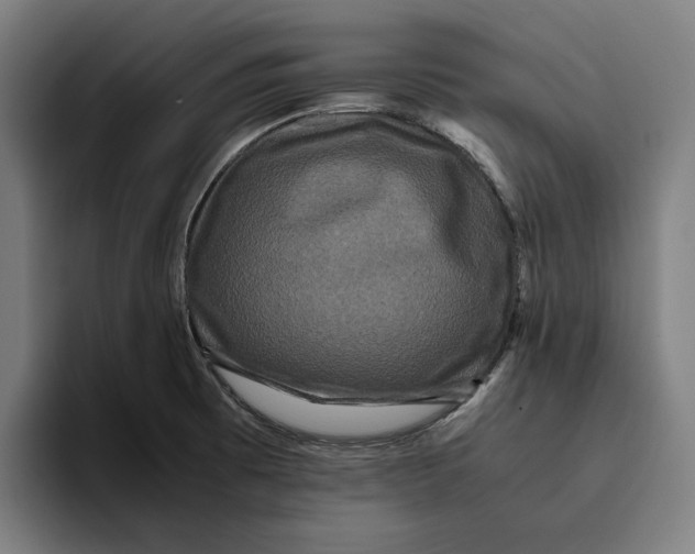 X0000094821473200712071236