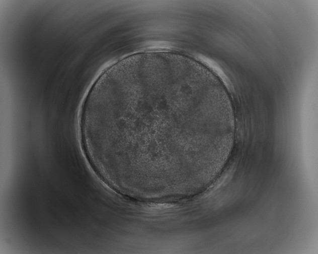 X0000094821475200712071236