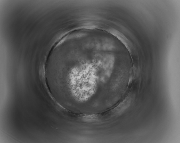 X0000094821477200712071236