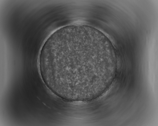 X0000094821478200712071236