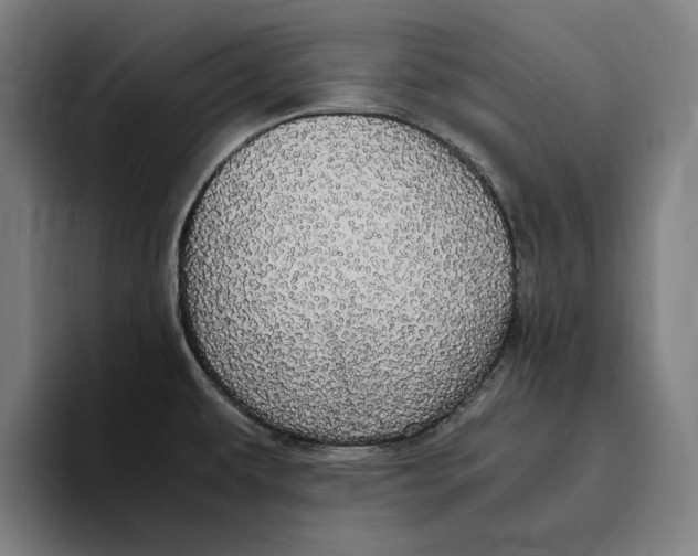 X0000094821479200712071236