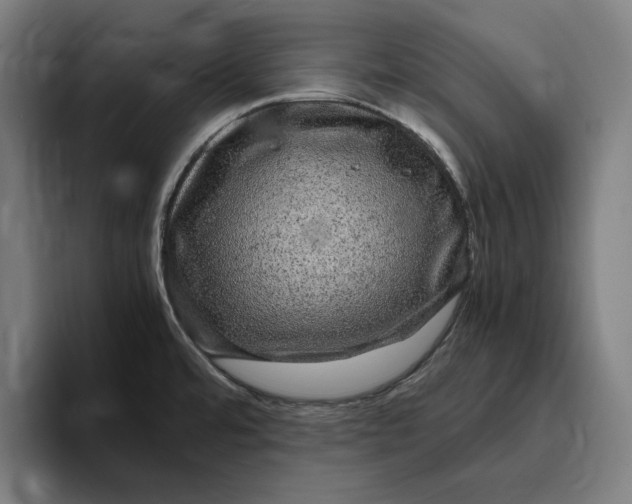 X0000094821480200712071236