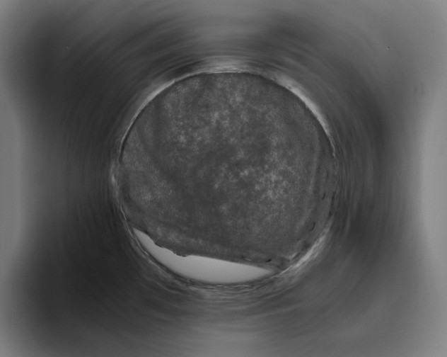 X0000094821481200712071236