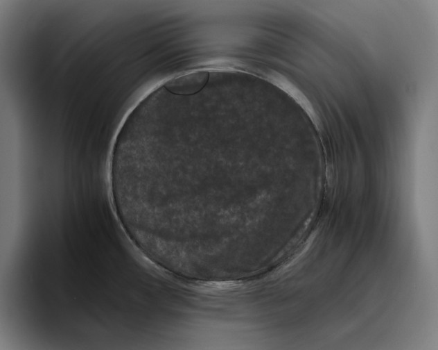 X0000094821482200712071236