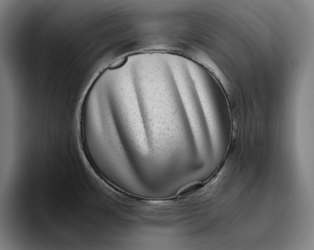 X0000094821483200712071236