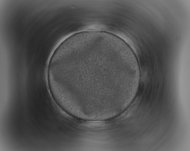 X0000094821486200712071236