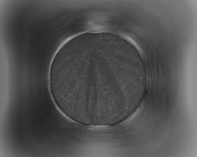 X0000094821487200712071236