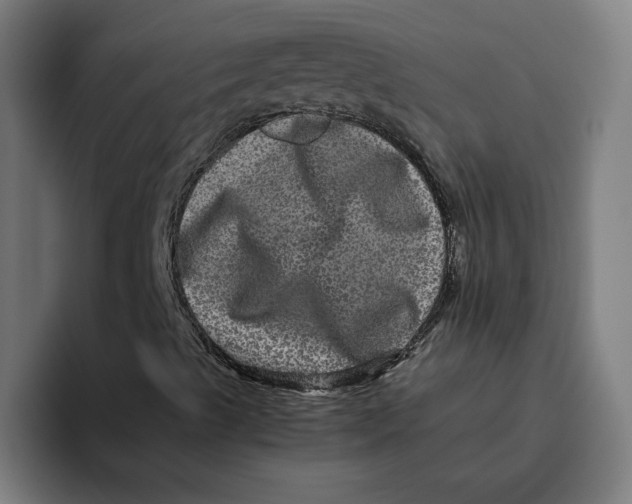 X0000094821489200712071235