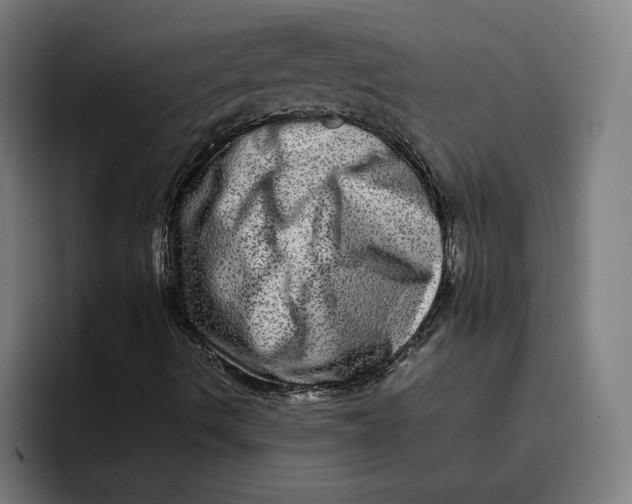 X0000094821490200712071235