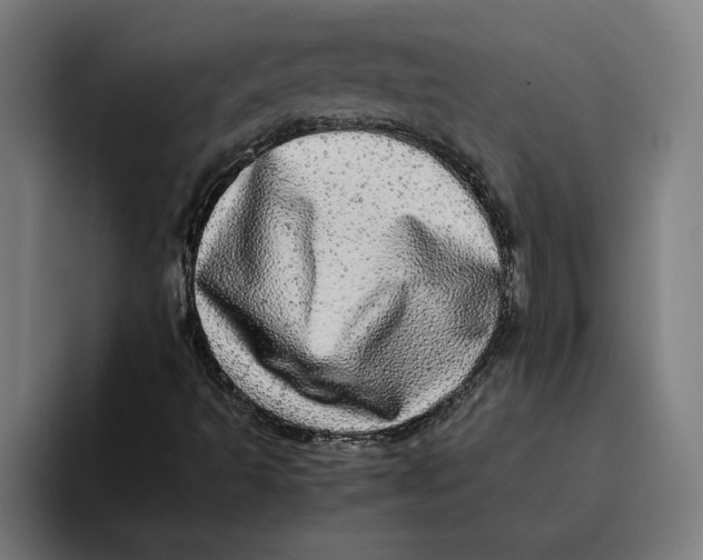 X0000094821493200712071235