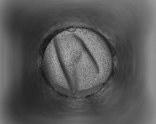 X0000094821495200712071235