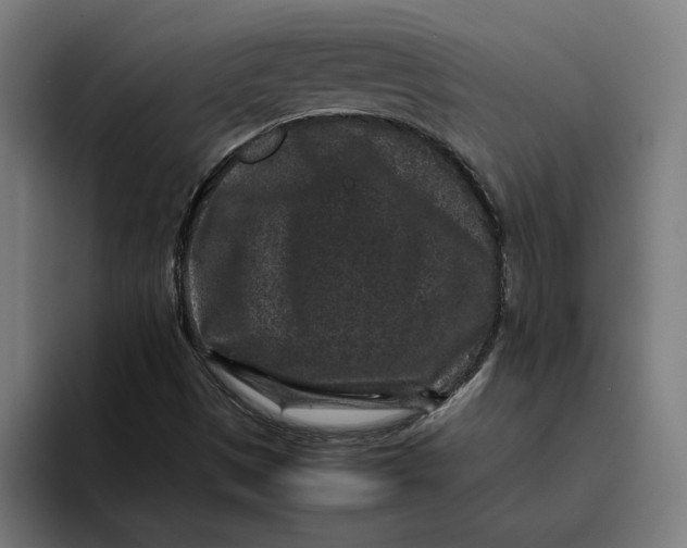 X0000094821497200712071235