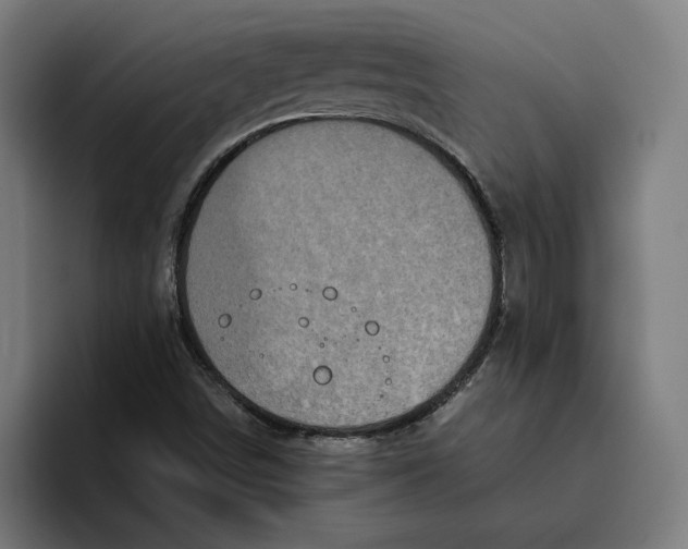 X0000094821498200712071235