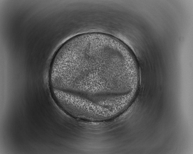 X0000094821500200712071235