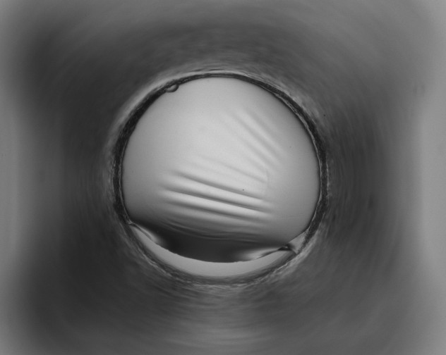 X0000094821502200712071235