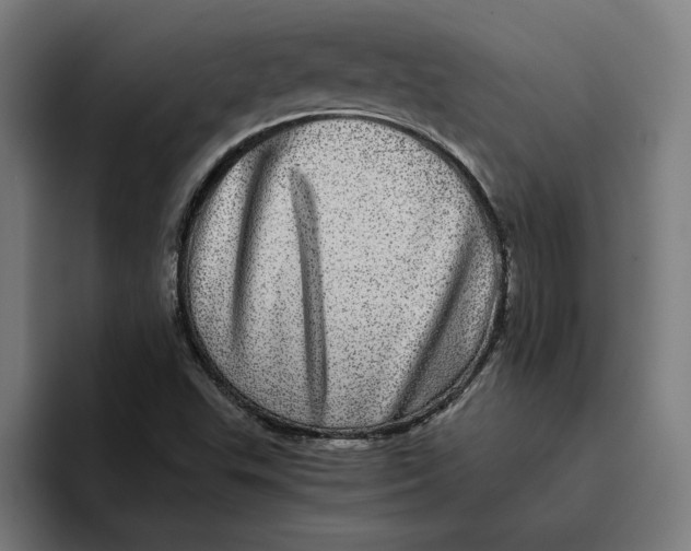 X0000094821503200712071235