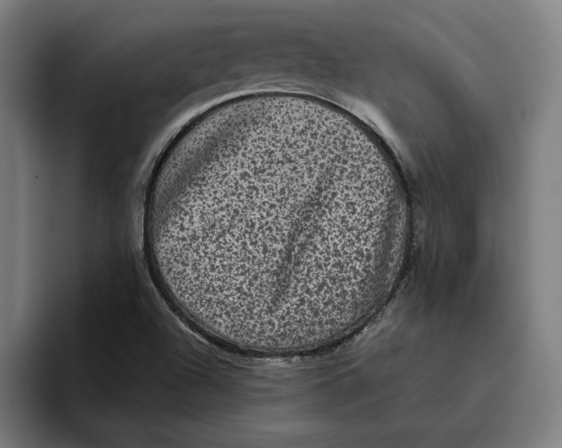 X0000094821504200712071235