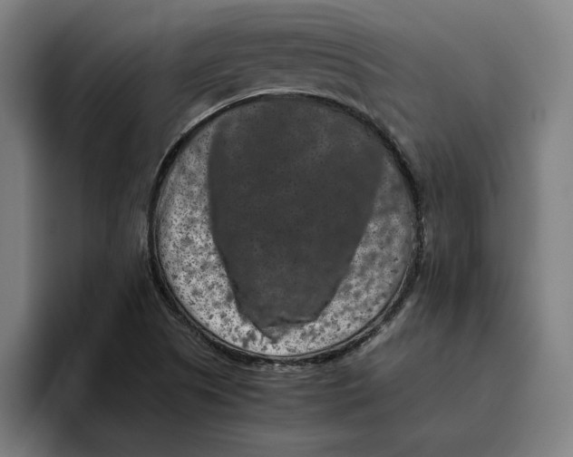 X0000094821505200712071235