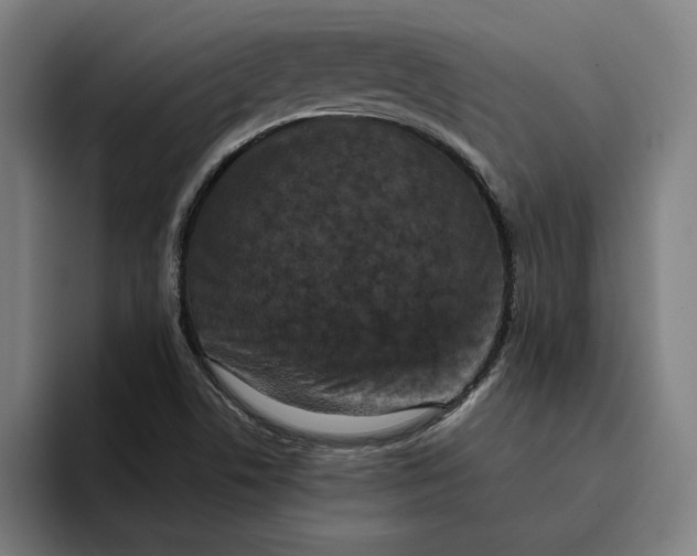 X0000094821506200712071235