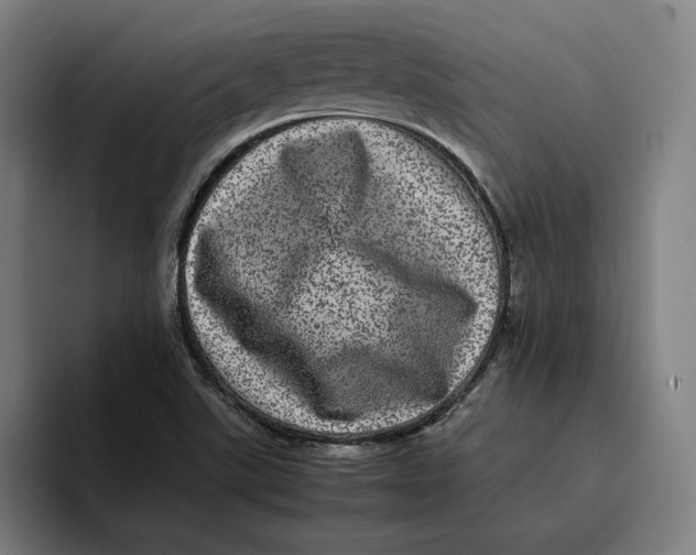 X0000094821507200712071235