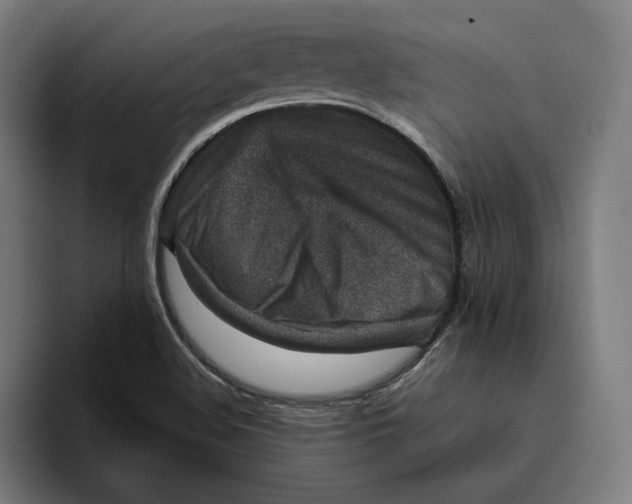 X0000094821508200712071235