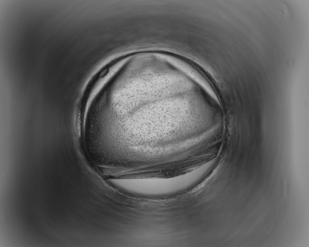 X0000094821510200712071235