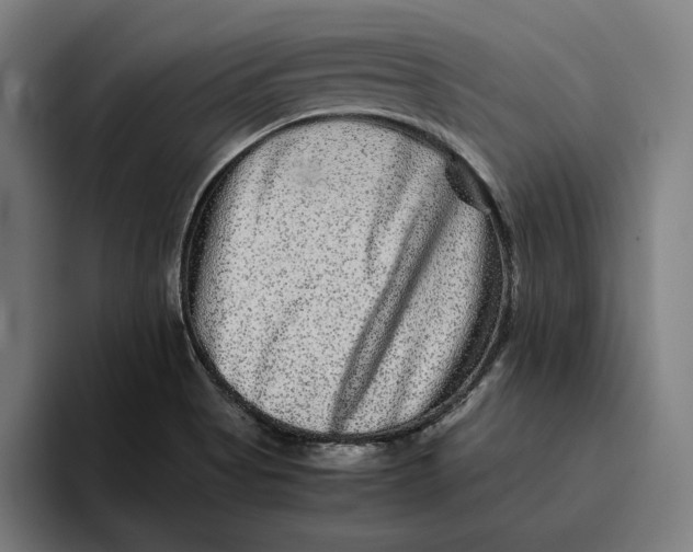 X0000094821513200712071235