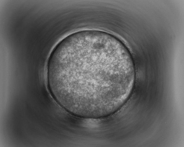 X0000094821514200712071235