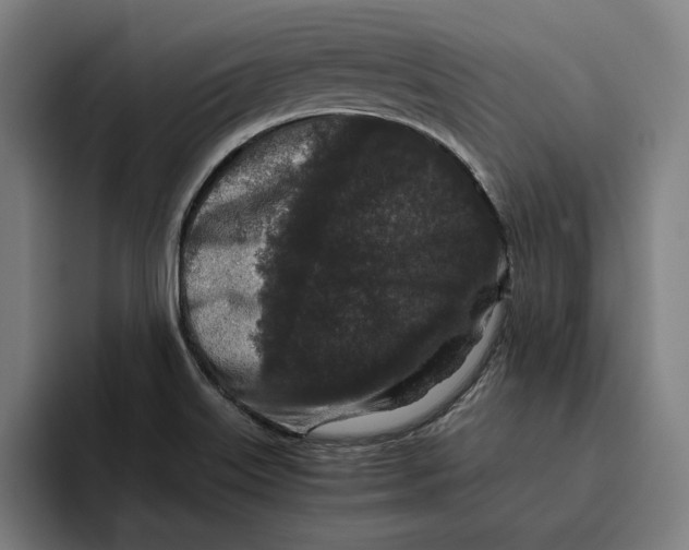 X0000094821515200712071235