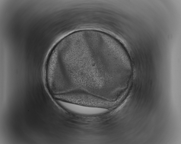 X0000094821517200712071235