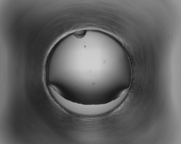 X0000094821518200712071235