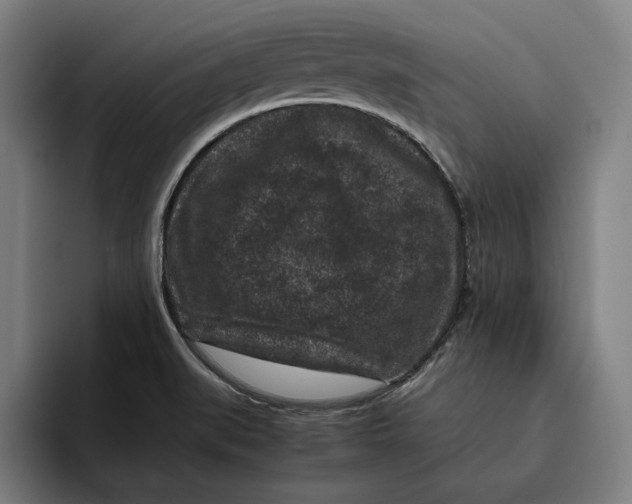 X0000094821519200712071235