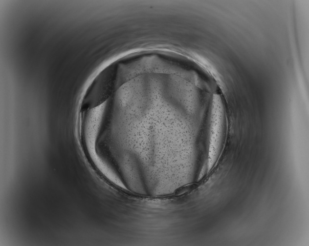 X0000094821520200712071235