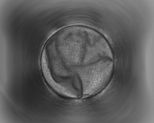 X0000094821521200712071235