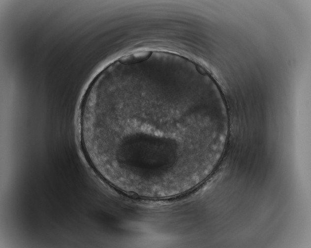 X0000094821522200712071235