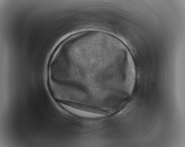 X0000094821523200712071235