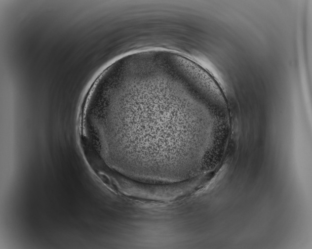 X0000094821524200712071235